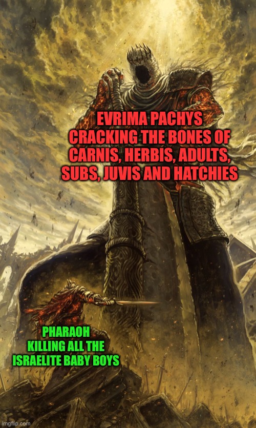 Pachys | EVRIMA PACHYS CRACKING THE BONES OF CARNIS, HERBIS, ADULTS, SUBS, JUVIS AND HATCHIES; PHARAOH KILLING ALL THE ISRAELITE BABY BOYS | image tagged in yhorm dark souls,history,dinosaurs | made w/ Imgflip meme maker