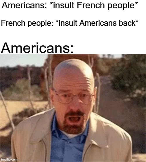 Walter White | Americans: *insult French people*; French people: *insult Americans back*; Americans: | image tagged in walter white,france,america,breaking bad | made w/ Imgflip meme maker