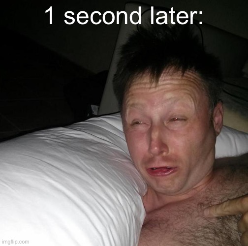 Limmy waking up | 1 second later: | image tagged in limmy waking up | made w/ Imgflip meme maker