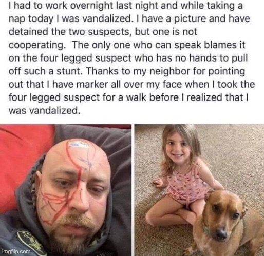image tagged in memes,funny,wholesome | made w/ Imgflip meme maker