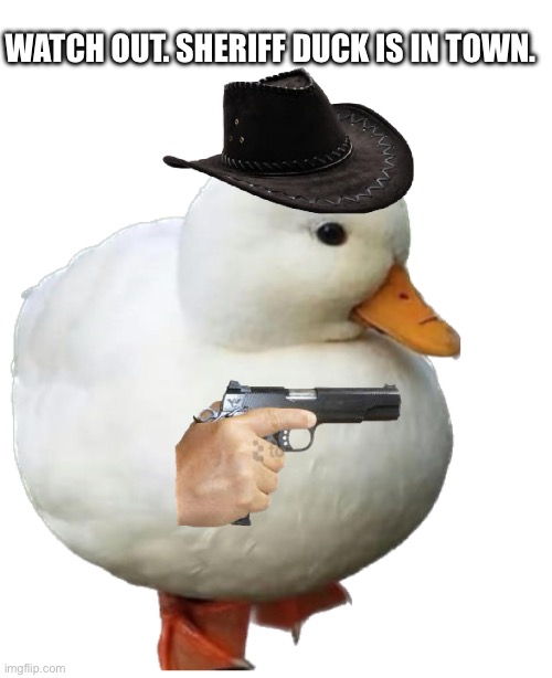 Sheriff duck | WATCH OUT. SHERIFF DUCK IS IN TOWN. | image tagged in duck,ducks | made w/ Imgflip meme maker