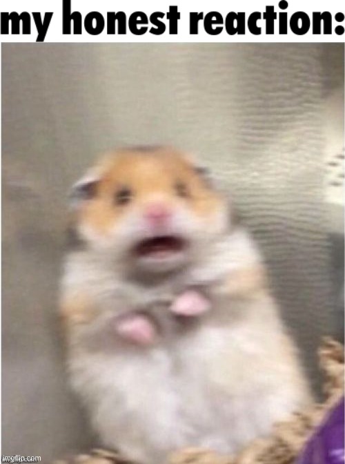 image tagged in my honest reaction,scared hamster | made w/ Imgflip meme maker