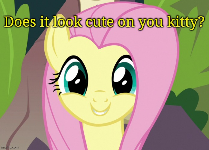 Shyabetes 2 (MLP) | Does it look cute on you kitty? | image tagged in shyabetes 2 mlp | made w/ Imgflip meme maker
