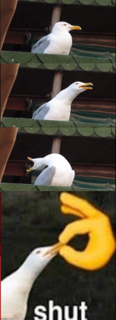 High Quality inhaling seagull shuts up Blank Meme Template