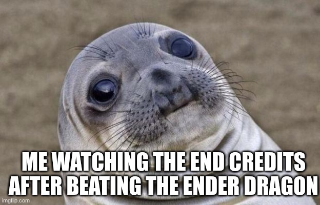 Awkward Moment Sealion Meme | ME WATCHING THE END CREDITS AFTER BEATING THE ENDER DRAGON | image tagged in memes,awkward moment sealion | made w/ Imgflip meme maker