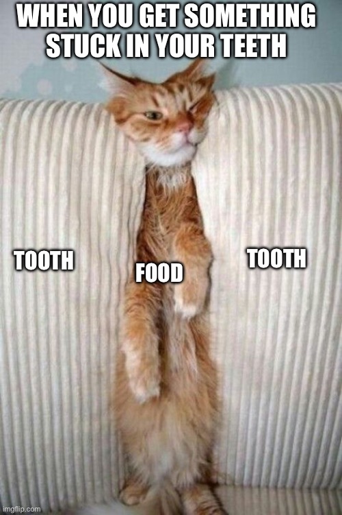 When You Get Food Stuck In Your Teeth | WHEN YOU GET SOMETHING STUCK IN YOUR TEETH; TOOTH; TOOTH; FOOD | image tagged in standing room only,tooth,food,stuck,annoying | made w/ Imgflip meme maker