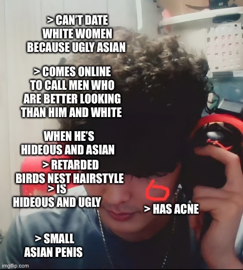Aleks/ChingChong is hideous and ugly with a birds nest | image tagged in ugly,ugly guy,asian,virgin,incel,fugly | made w/ Imgflip meme maker
