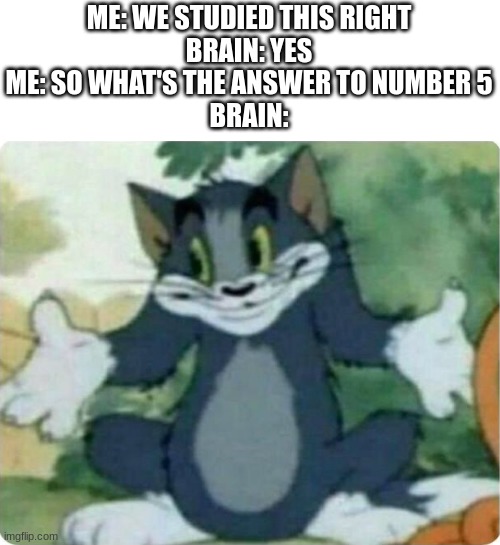 Tom Shrugging | ME: WE STUDIED THIS RIGHT
BRAIN: YES
ME: SO WHAT'S THE ANSWER TO NUMBER 5
BRAIN: | image tagged in tom shrugging | made w/ Imgflip meme maker