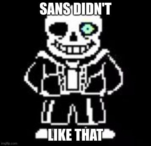 Triggered Sans | SANS DIDN'T LIKE THAT | image tagged in triggered sans | made w/ Imgflip meme maker
