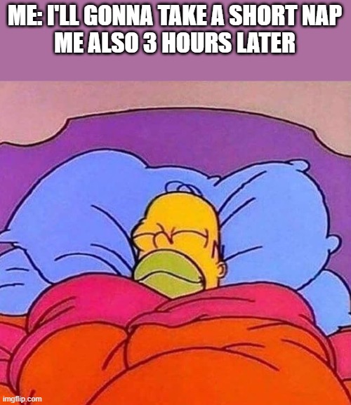 I like to sleep tbh | ME: I'LL GONNA TAKE A SHORT NAP
ME ALSO 3 HOURS LATER | image tagged in homer simpson sleeping peacefully,nap | made w/ Imgflip meme maker