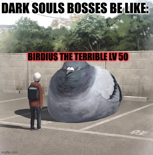 Beeg Birb | DARK SOULS BOSSES BE LIKE:; BIRDIUS THE TERRIBLE LV 50 | image tagged in beeg birb | made w/ Imgflip meme maker