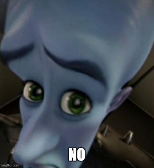 Megamind no bitches | NO | image tagged in megamind no bitches | made w/ Imgflip meme maker