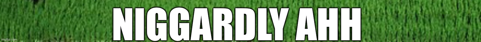 NIGGARDLY AHH | made w/ Imgflip meme maker
