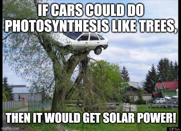 Secure Parking | IF CARS COULD DO PHOTOSYNTHESIS LIKE TREES, THEN IT WOULD GET SOLAR POWER! | image tagged in memes,cars,trees | made w/ Imgflip meme maker