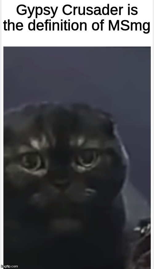 Debt Cat with Caption | Gypsy Crusader is the definition of MSmg | image tagged in debt cat with caption | made w/ Imgflip meme maker