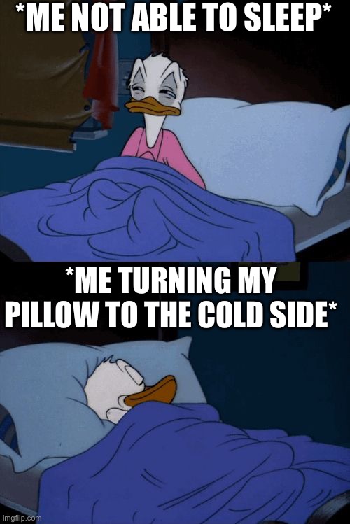 the cold side rules | *ME NOT ABLE TO SLEEP*; *ME TURNING MY PILLOW TO THE COLD SIDE* | image tagged in sleeping donald duck | made w/ Imgflip meme maker