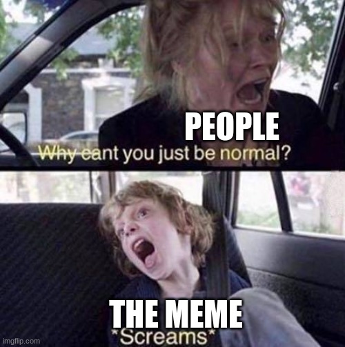Why Can't You Just Be Normal | PEOPLE THE MEME | image tagged in why can't you just be normal | made w/ Imgflip meme maker