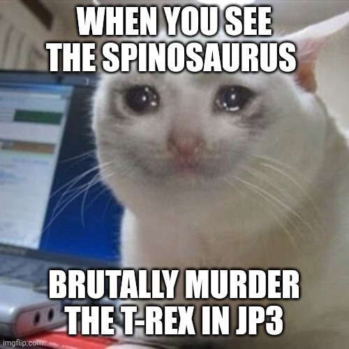This scene made me bawl | WHEN YOU SEE THE SPINOSAURUS; BRUTALLY MURDER THE T-REX IN JP3 | image tagged in crying cat,jurassic park,jurassicparkfan102504,sad,jpfan102504 | made w/ Imgflip meme maker