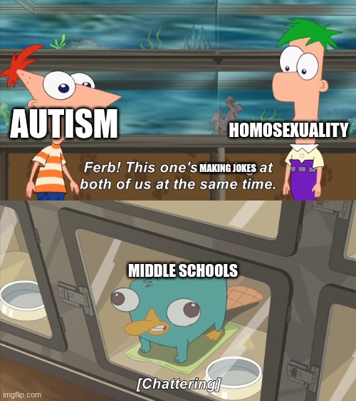 phineas and ferb | HOMOSEXUALITY; AUTISM; MAKING JOKES; MIDDLE SCHOOLS | image tagged in phineas and ferb | made w/ Imgflip meme maker