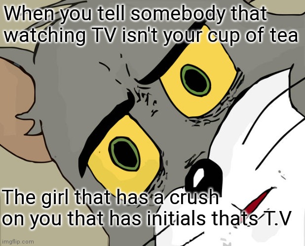 Tom | When you tell somebody that watching TV isn't your cup of tea; The girl that has a crush on you that has initials thats T.V | image tagged in funny memes,unsettled tom | made w/ Imgflip meme maker