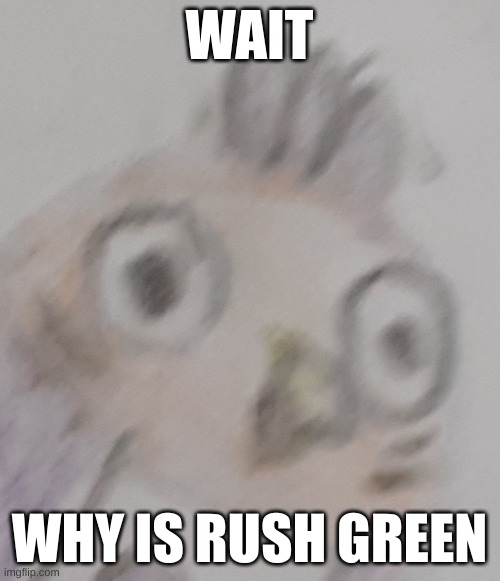 WAIT WHY IS RUSH GREEN | image tagged in unnerved bird | made w/ Imgflip meme maker