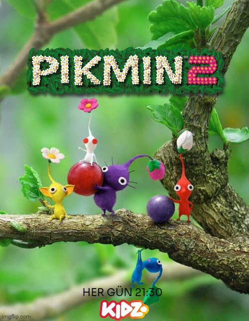 Turkish Version | HER GÜN 21:30 | image tagged in pikmin 2,nintendo,nintendo gamecube,turkish | made w/ Imgflip meme maker