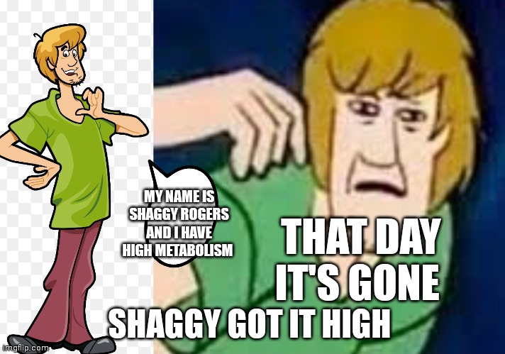 Shaggy got his metabolism high | MY NAME IS SHAGGY ROGERS AND I HAVE HIGH METABOLISM; THAT DAY IT'S GONE; SHAGGY GOT IT HIGH | image tagged in funny memes | made w/ Imgflip meme maker
