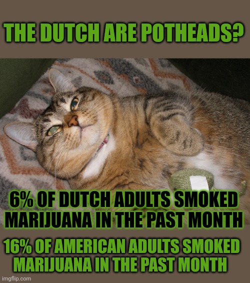 This #lolcat knows who the bigger 'potheads' are | THE DUTCH ARE POTHEADS? 6% OF DUTCH ADULTS SMOKED MARIJUANA IN THE PAST MONTH; 16% OF AMERICAN ADULTS SMOKED
MARIJUANA IN THE PAST MONTH | image tagged in pot,smoking weed,marijuana,hypocrisy,lolcats,think about it | made w/ Imgflip meme maker