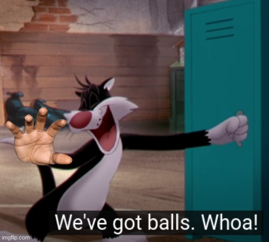 We've got balls | image tagged in balls,cat | made w/ Imgflip meme maker