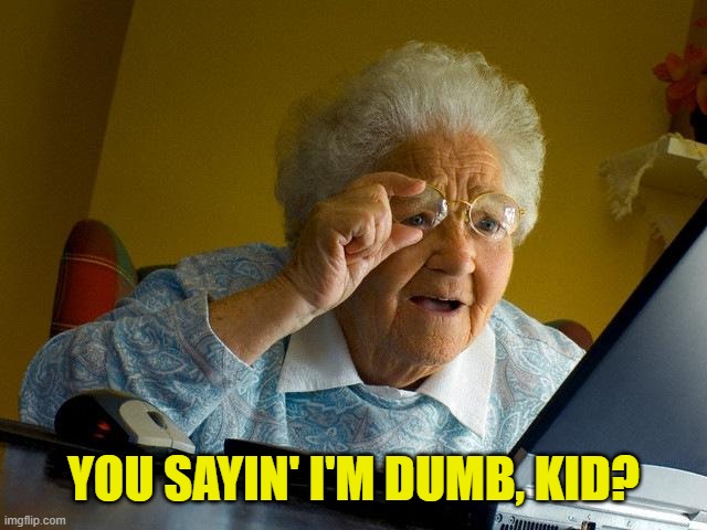 Grandma Finds The Internet Meme | YOU SAYIN' I'M DUMB, KID? | image tagged in memes,grandma finds the internet | made w/ Imgflip meme maker