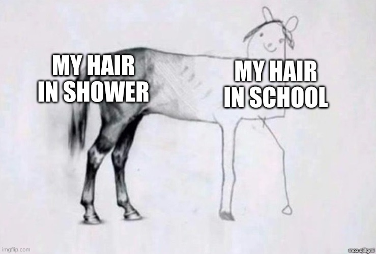 Bruh all the time | MY HAIR IN SHOWER; MY HAIR IN SCHOOL | image tagged in horse,hair,relatable | made w/ Imgflip meme maker