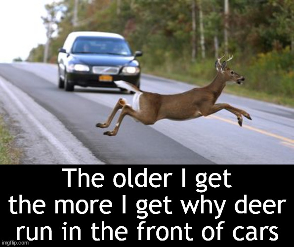 The older I get the more I get why deer run in the front of cars | made w/ Imgflip meme maker