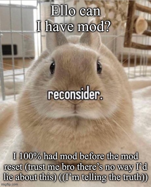 Hehehehehaw | Ello can I have mod? I 100% had mod before the mod reset (trust me bro there’s no way I’d lie about this) ((I’m telling the truth)) | image tagged in reconsider | made w/ Imgflip meme maker
