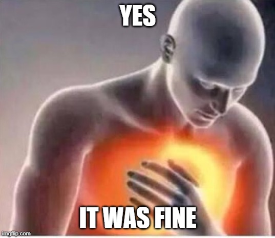 Chest pain  | YES IT WAS FINE | image tagged in chest pain | made w/ Imgflip meme maker