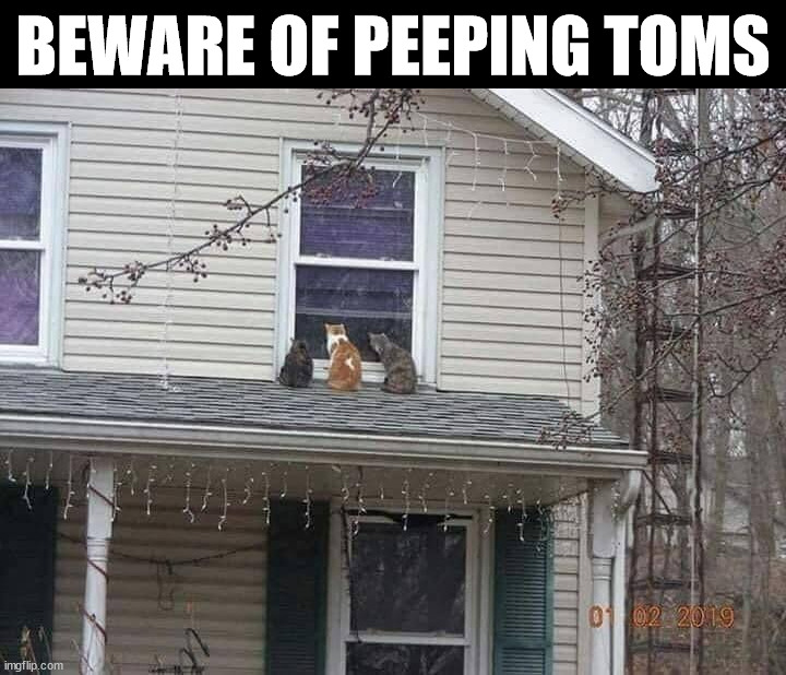 BEWARE OF PEEPING TOMS | made w/ Imgflip meme maker