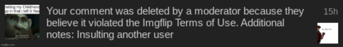 Dumbarses. Ya know what IS against the TOS? Underage users. Who was I talking to? Just that. An underage user. (Who tf are you) | made w/ Imgflip meme maker