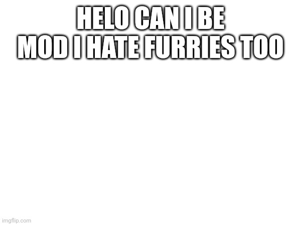 (Mod note) Sure but I really idk how | HELO CAN I BE MOD I HATE FURRIES TOO | made w/ Imgflip meme maker