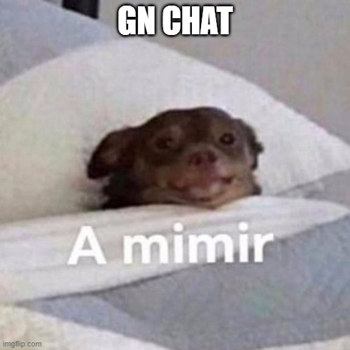 gn chat | GN CHAT | image tagged in mimir | made w/ Imgflip meme maker