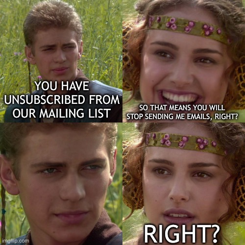 I don't want your stinkin' emails! | YOU HAVE UNSUBSCRIBED FROM OUR MAILING LIST; SO THAT MEANS YOU WILL STOP SENDING ME EMAILS, RIGHT? RIGHT? | image tagged in anakin padme 4 panel,email,memes,funny,funny memes | made w/ Imgflip meme maker
