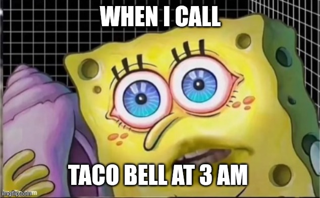 I called taco bell at 3 am | WHEN I CALL; TACO BELL AT 3 AM | image tagged in 3 am,memes | made w/ Imgflip meme maker