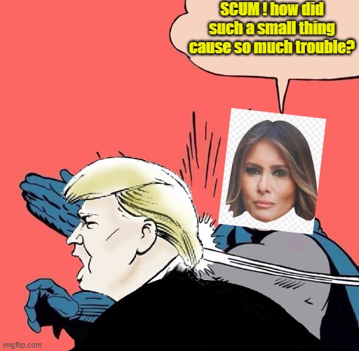 Batman slaps Trump | SCUM ! how did such a small thing cause so much trouble? | image tagged in batman slaps trump | made w/ Imgflip meme maker