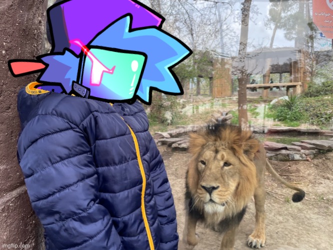 Rare footage of me and a lion | image tagged in rare pepe,lion | made w/ Imgflip meme maker