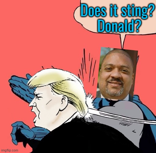 Will it be wild? | Does it sting?
 Donald? | image tagged in donald trump,maga,nyc,politics,stormy daniels | made w/ Imgflip meme maker