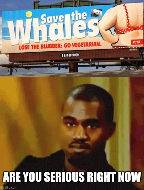 ARE YOU SERIOUS RIGHT NOW | image tagged in kanye,whales | made w/ Imgflip meme maker