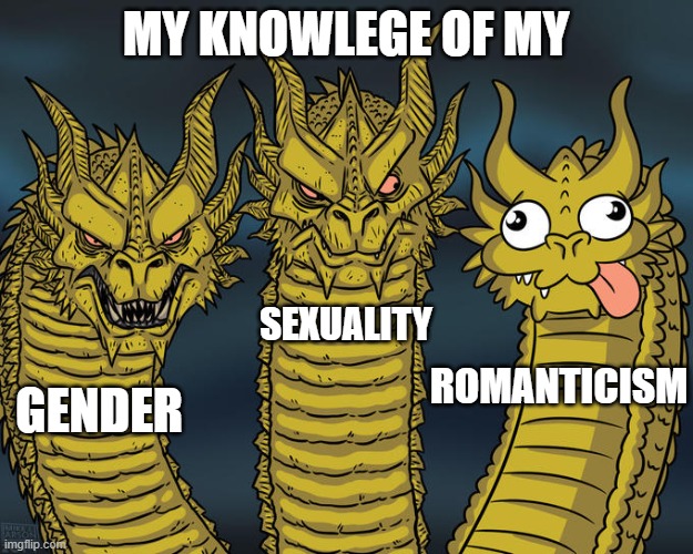 being oriented aro ace is so fun (it isn't, it sucks beans) | MY KNOWLEGE OF MY; SEXUALITY; ROMANTICISM; GENDER | image tagged in three-headed dragon,lgbtq,orientedaroace,asexual,aromantic,nonbinary | made w/ Imgflip meme maker