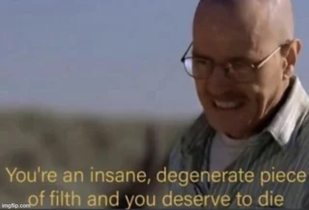 Walter White Degenerate | image tagged in walter white degenerate | made w/ Imgflip meme maker