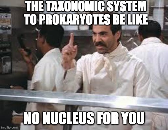 no nucleus for you! | THE TAXONOMIC SYSTEM TO PROKARYOTES BE LIKE; NO NUCLEUS FOR YOU | image tagged in no soup,no nucleus,cells | made w/ Imgflip meme maker