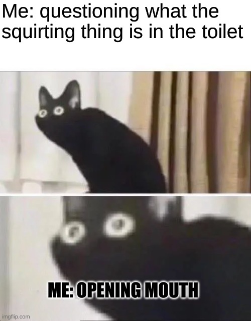 Having a flash back | Me: questioning what the squirting thing is in the toilet; ME: OPENING MOUTH | image tagged in oh no black cat | made w/ Imgflip meme maker