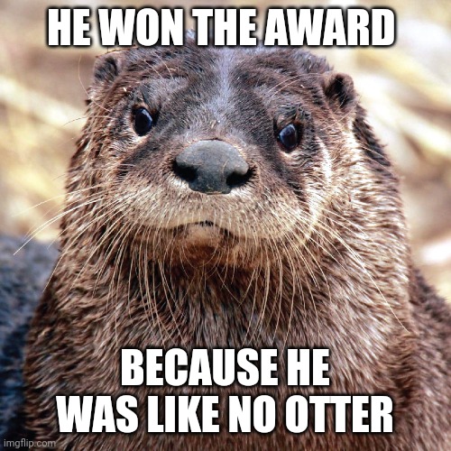 Otter pun is lit | HE WON THE AWARD; BECAUSE HE WAS LIKE NO OTTER | image tagged in puns,otter,jpfan102504,jokes | made w/ Imgflip meme maker
