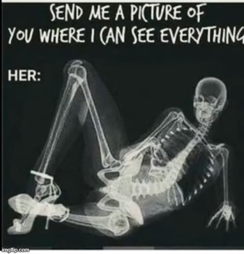 Bad to the Bone | image tagged in skeleton,spooky scary skeletons | made w/ Imgflip meme maker